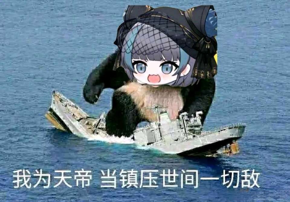 停停停 图片1