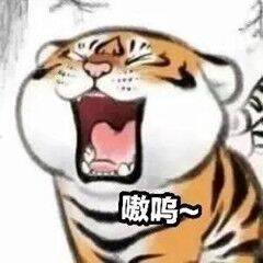 停停停 图片2